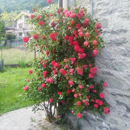 Dolcimele Bed and breakfast